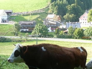 Ăvrigt