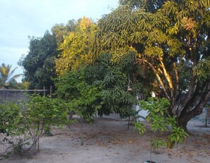 Sekalaista