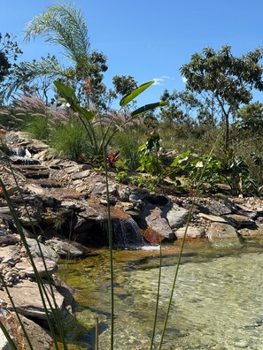 Naturpool