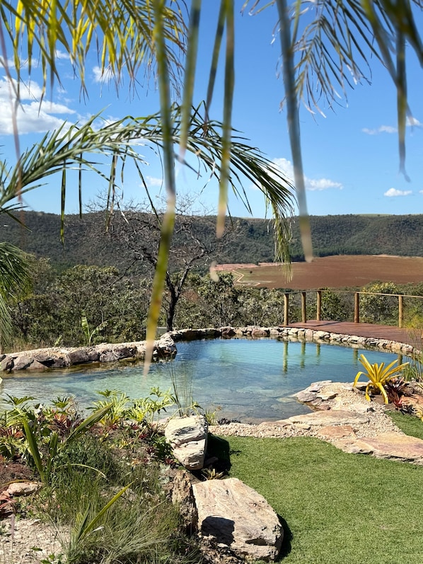 Natural pool