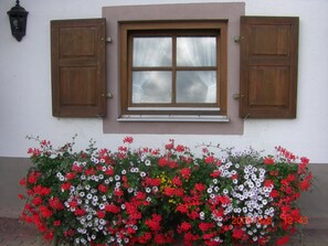 Außendetails