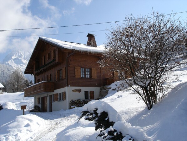 Exteriör