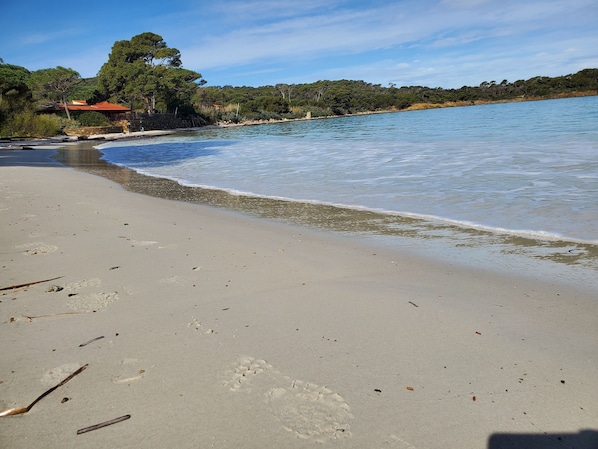 Strand