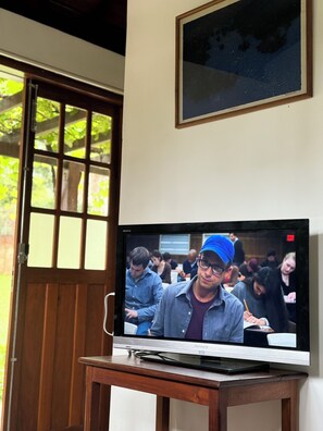 Fernseher