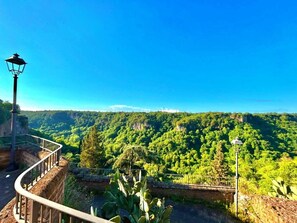 Vue depuis l’hébergement