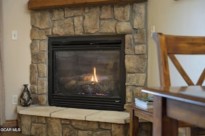 Gas fireplace in the living room