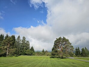 AR View RT 32