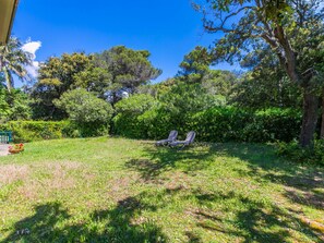 Blau, Grün, Vegetation, Strauch, Pflanzengemeinschaft, Ground, Garten, Rasen, Plantage, Tropen