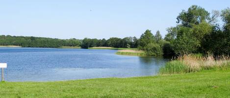 Bleu, L'Eau, Ressources En Eau, Plan D'Eau, Paysage Naturel, Banque, Voie Navigable, Cours D'Eau, Prairie, Lac