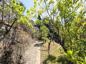 Green, Leaf, Vegetation, Yellow, Shrub, Spring, Garden, Stone Wall, Walkway, Fence