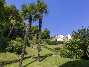 Leaf, Vegetation, Shrub, Garden, Woody Plant, Landscaping, Shade, Driveway