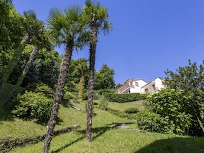 Leaf, Vegetation, Shrub, Garden, Woody Plant, Landscaping, Shade, Driveway