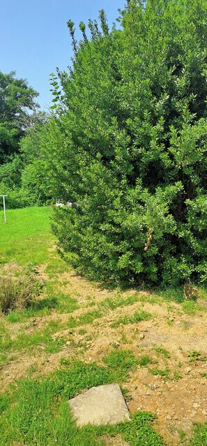 Boendeområde