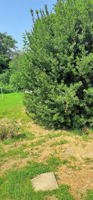 BoendeomrÄde