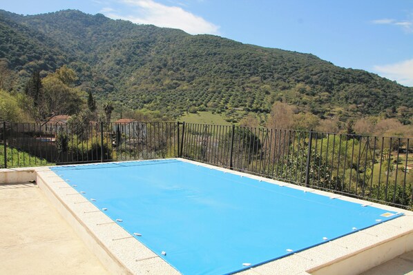 Swimming pool view