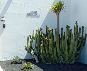 Detalj exteriör