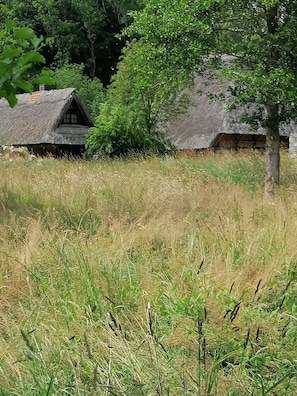 Ăvrigt