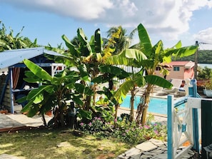 Poolblick
