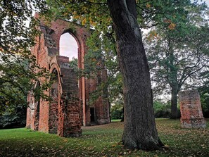 Klosterruine Greifswald-Eldena
