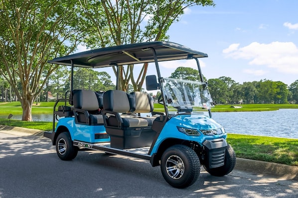 Brand New 6 Seat Golf Cart