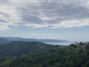 Ăvrigt