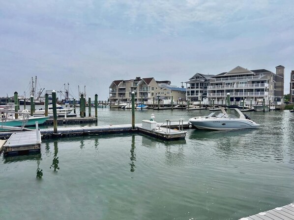 Marina