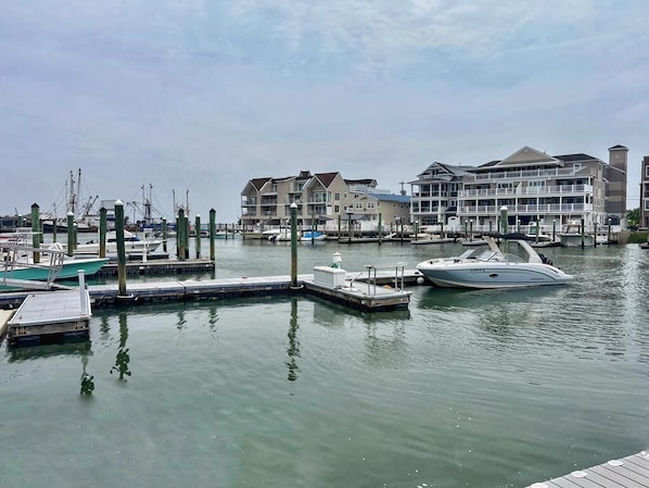 Marina