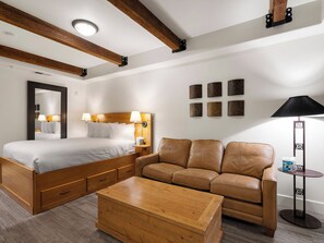Bedroom / Queen Bed / Sofa Sleeper