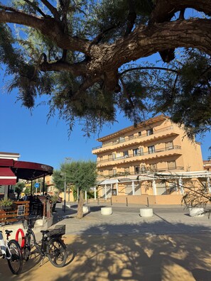 The building.