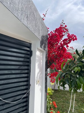 Detalj exteriör