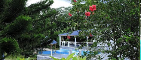 Swimming pool view