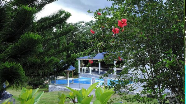 Swimming pool view