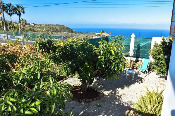 Areal view