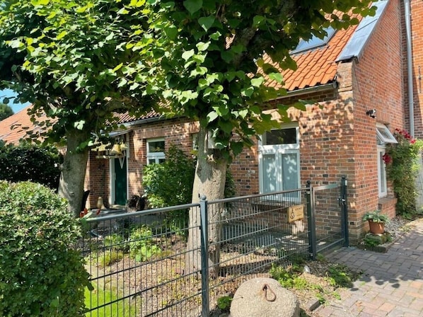 Exteriör