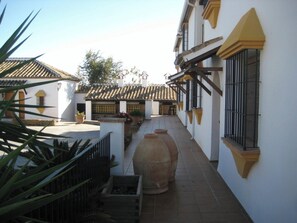 Front view