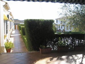 Front view