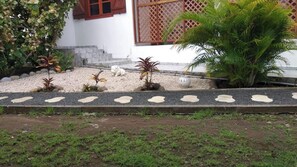 Front view