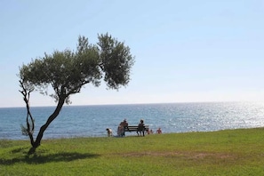 Vue sur piscine