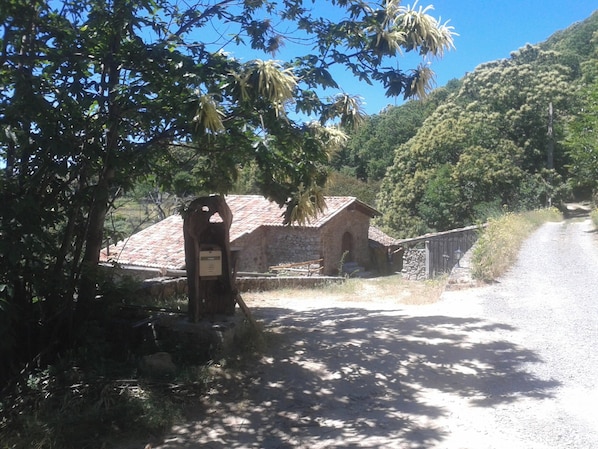 Jardin