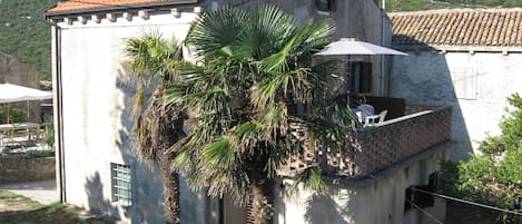 Back view