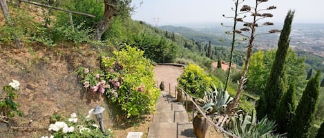 Outdoor