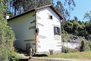 Back view