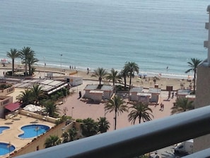 Swimming pool view
