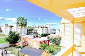 Areal view