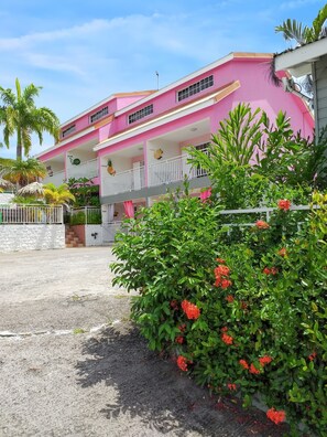 Front view