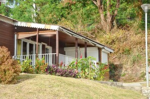 Front view