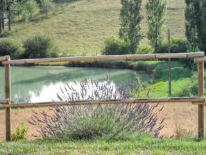 Lake view