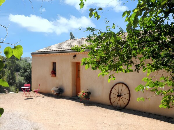 Front view