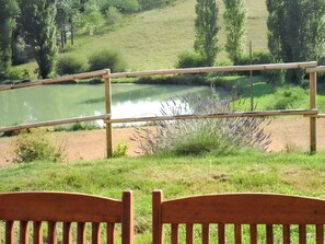 Lake view