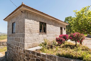 Front view